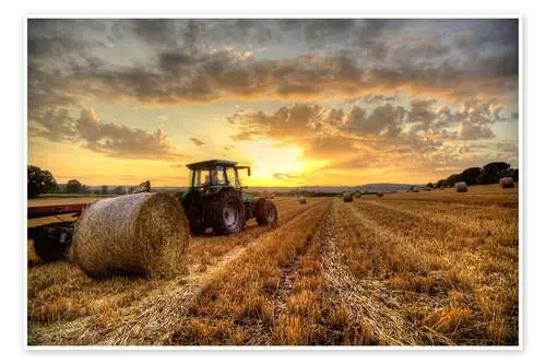 Harvested Cornfield Sunset de Simon West