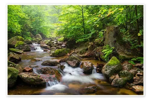Harz Forest de Dave Derbis