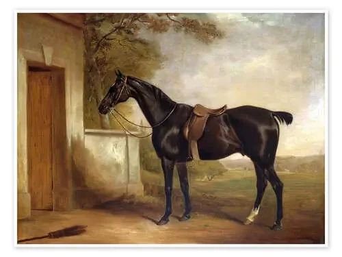 Hebilla, caballo de caza de Lord Chesham, 1836 de John E. Ferneley Bridgeman Images
