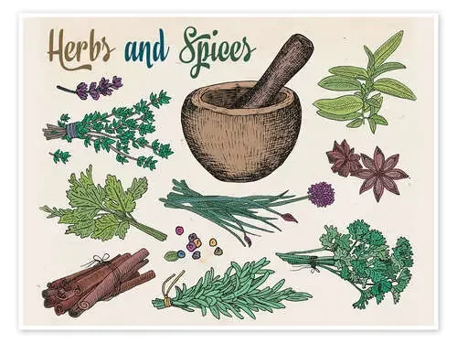 Herbs Editors Choice