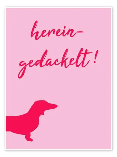 Hereingedackelt Pink de Typobox Editors Choice