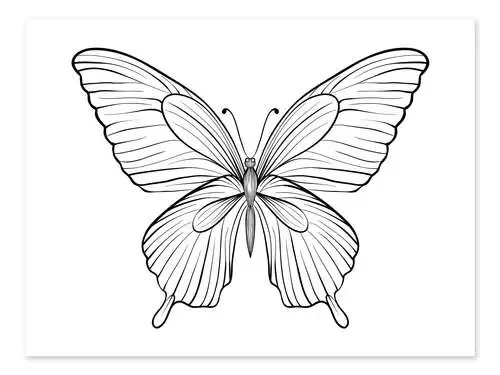 Hermosa mariposa Editors Choice