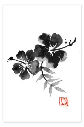 Hibiscus de Péchane