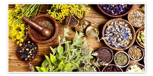 Hierbas medicinales Editors Choice
