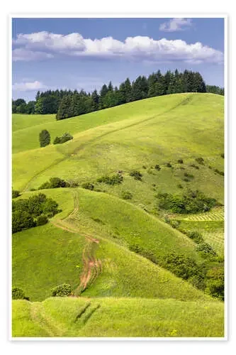 Hill landscape in summer, Kaiserstuhl, Germany de Dennis Fischer