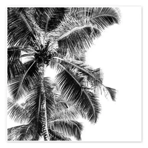 Hojas de palmera en una playa tropical Editors Choice