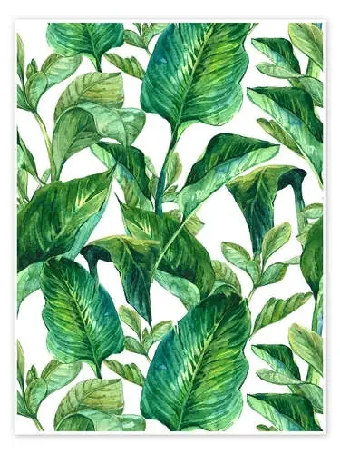 Hojas tropicales Editors Choice