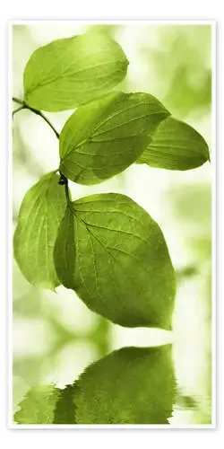 Hojas verdes II de Atteloi