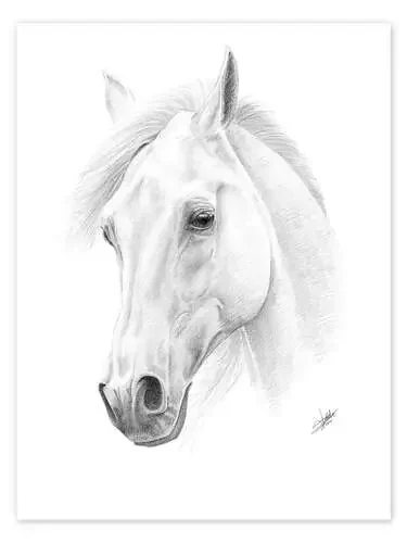 Horse drawing de Christian Klute