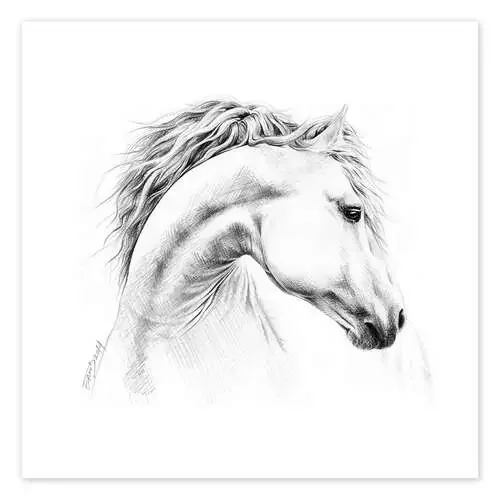 Horse head de EDrawings38