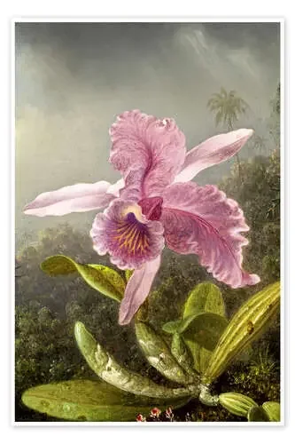Hummingbird and orchid (detail) de Martin Johnson Heade Master Collection