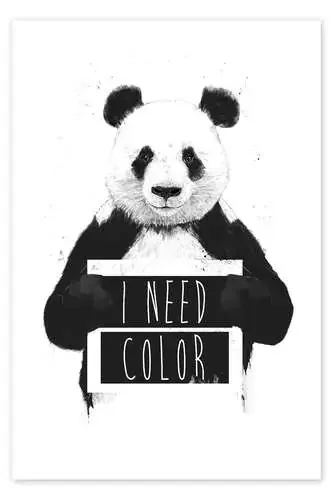 I need color de Balazs Solti