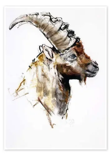 Ibex III de Mark Adlington Bridgeman Images