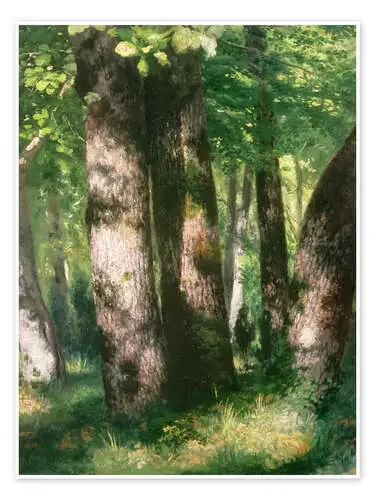 In the Forest of Fontainebleau de Pierre-Auguste Renoir Bridgeman Images