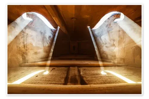Inside a violin de Adrian Borda