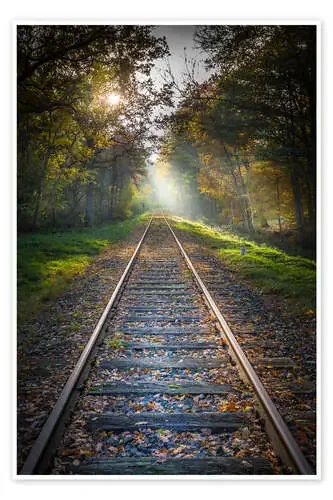 into the light de Manfred Hartmann