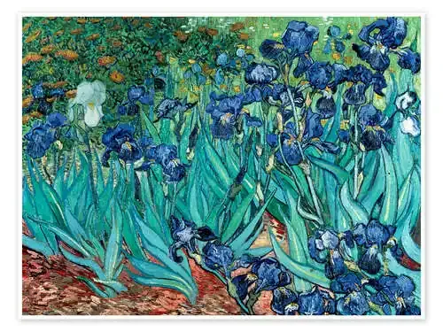 Irises, 1889 de Vincent van Gogh akg-images