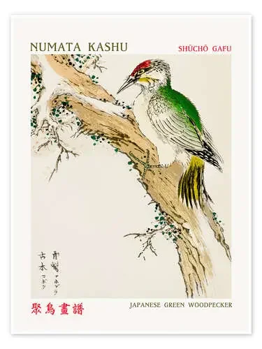 Japanese Green Woodpecker de Numata Kashu Exhibition Posters