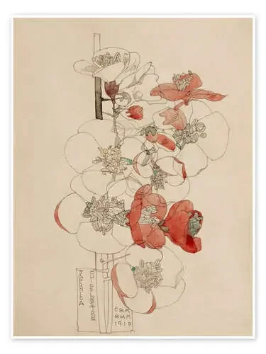 Japonica de Charles Rennie Mackintosh Bridgeman Images