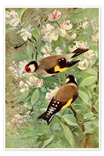 Jilguero de Wilhelm Kuhnert Master Collection