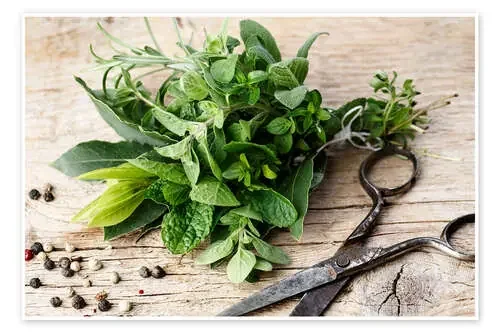 Kitchen Herbs 11 de Nailia Schwarz