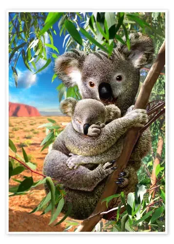 Koala and cub de Adrian Chesterman MGL Licensing