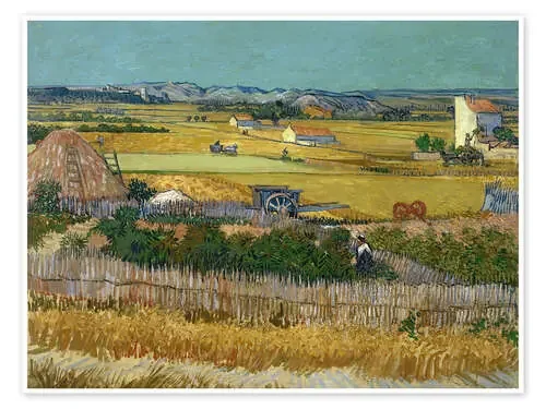 La Cosecha, Campo de Trigo (1888) de Vincent van Gogh Granger Collection