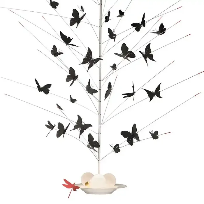 La Festa Delle Farfalle