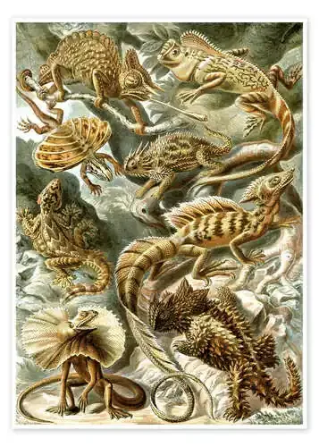 Lagartos, Lacertilia (Obras de arte de la naturaleza, 1899) de Ernst Haeckel Master Collection