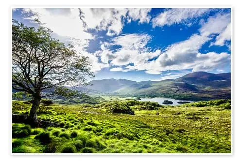 Lake of Killarney de Daniel Heine