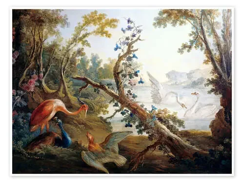 Lake with swans, a flamingo and a peacock de François Boucher akg-images