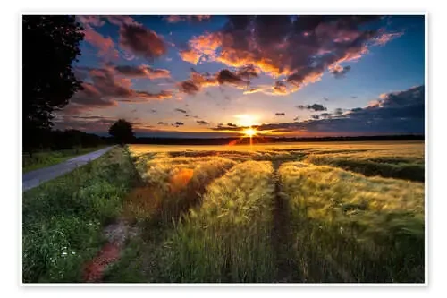 Last Light de Sebastian Warneke