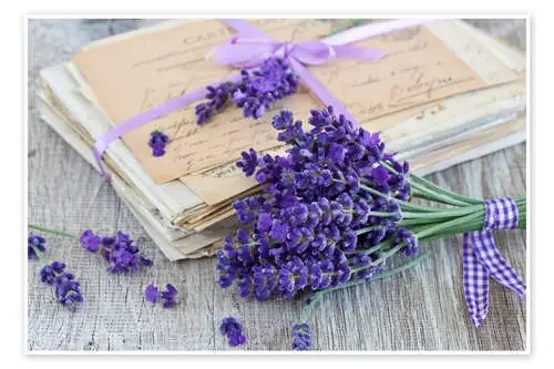 Lavanda y mis cartas de amor para ti de Andrea Haase Foto