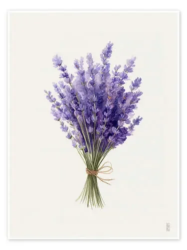 Lavender Bunch de artill