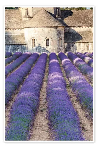 Lavender field and famous Senanque abbey in Provence, France de Matteo Colombo