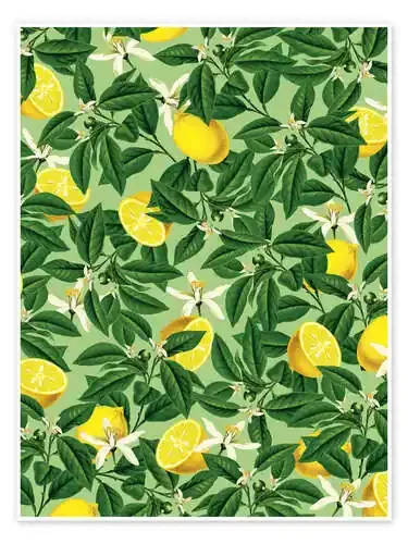 Lemonade V2 de 83 Oranges