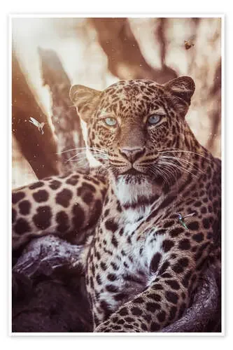 Leopardo rodeado de colibríes hermosos de Gen Z