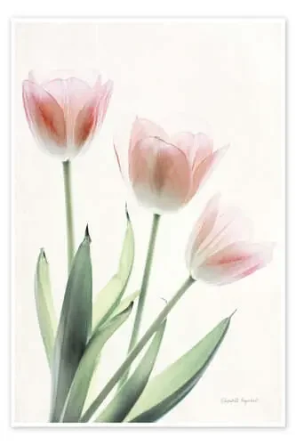 Light and Bright Floral II de Elizabeth Urquhart Wild Apple Graphics