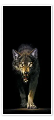 Lobo al acecho de Chris Hiett MGL Licensing