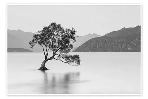 Lone Tree / black & white de Sebastian Warneke