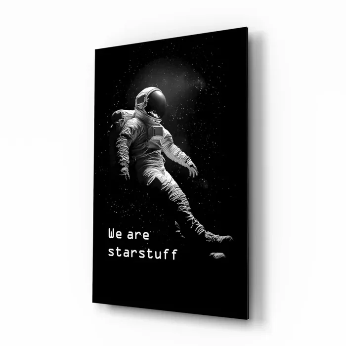 Loneliness in Space Glass Wall Art Designer Collection – 28.5 » X 18 «