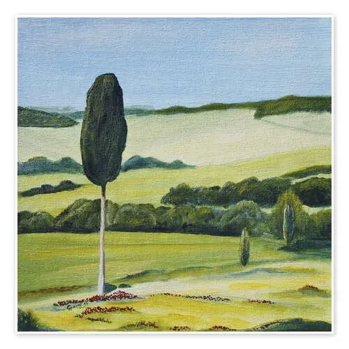 Lonely Cypress Tree on Terrapille Close to Pienza Tuscany de Christine Huwer