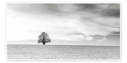 LONELY TREES de Friedhelm Peters