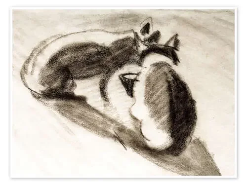 Los dos gatos de Franz Marc de August Macke akg-images