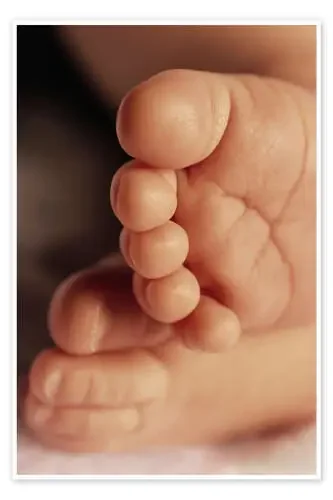 Los pies del bebé de Don Hammond Design Pics