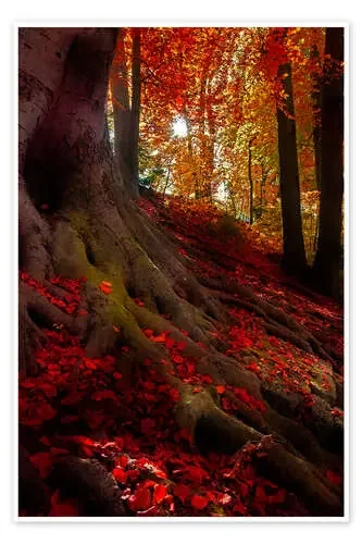 Luz de otoño de Hannes Cmarits
