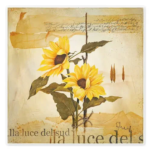 Luz del sur de Franz Heigl Advocate Art