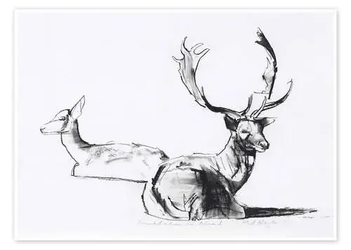 Lying deer couple de Mark Adlington Bridgeman Images