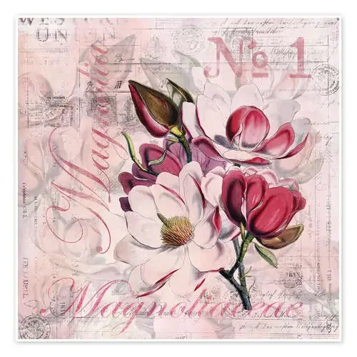 Magnolia de Andrea Haase