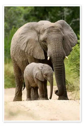 Mamá y su pequeño Editors Choice